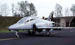 Hawk