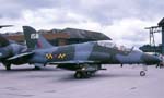 Hawk