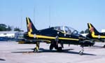 Hawk