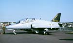 Hawk