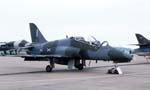 Hawk