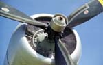HU-16B Albatross Photo