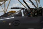 Kfir COA