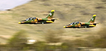 L-39