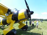 Lysander