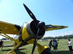 Lysander