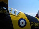 Lysander