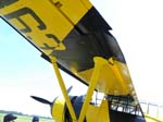 Lysander