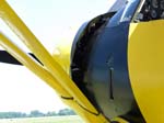 Lysander