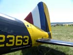 Lysander