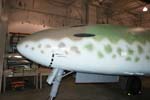 Me 262