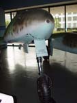 Me 262