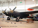 Mosquito