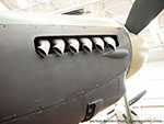 Mosquito