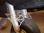 Mosquito