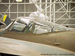 Mosquito
