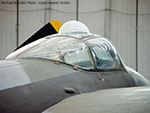 Mosquito