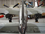 Mosquito