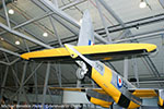 Mosquito