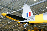 Mosquito