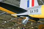 Mosquito