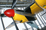 Mosquito