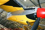 Mosquito