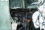 Mosquito
