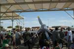 MQ-1 Predator Photo