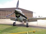 P-40B