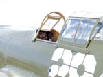P-40B