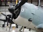 SBD-3 Dauntless Photo