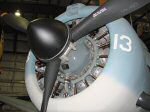 SBD-3 Dauntless Photo
