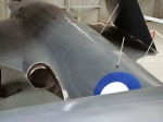 Sea Hawk