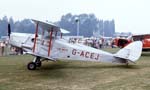 Tiger Moth