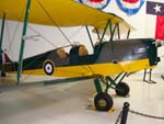 Tiger Moth