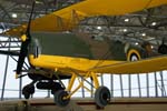 Tiger Moth