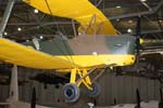 Tiger Moth