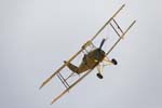 Tiger Moth