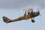 Tiger Moth