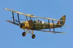 Tiger Moth
