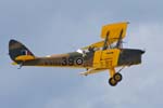 Tiger Moth