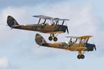Tiger Moth