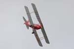 Tiger Moth