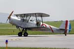 Tiger Moth