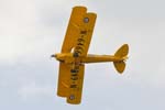 Tiger Moth