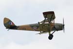 Tiger Moth