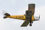 Tiger Moth