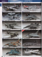 Hasegawa