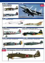 Hasegawa